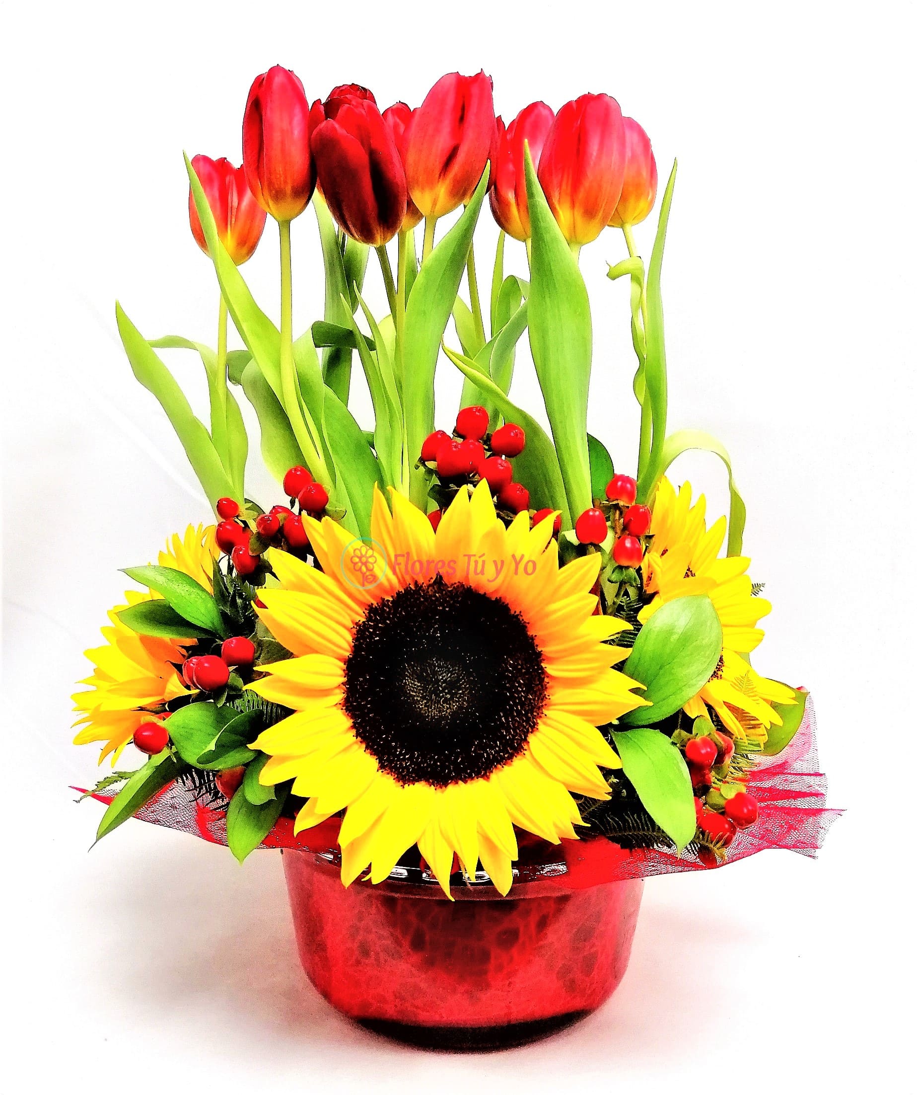 Tulipanes Con Girasoles – Flores Tu y Yo