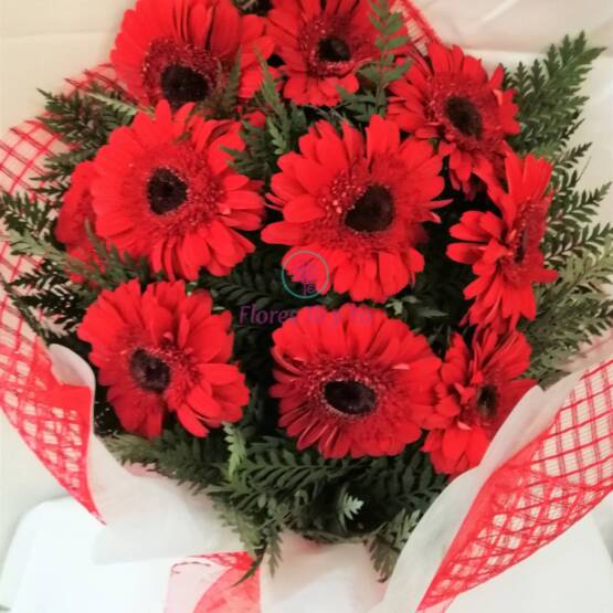 Ramo De 10 Gerberas