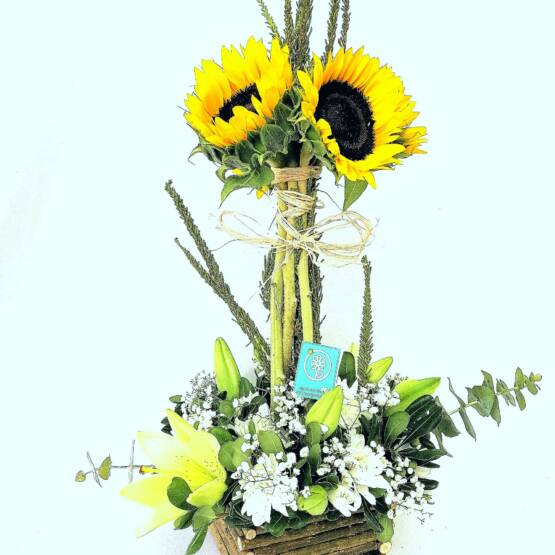 Girasoles En Caja Rustica