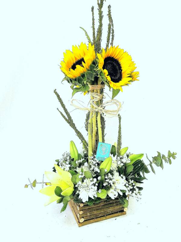 Girasoles En Caja Rustica