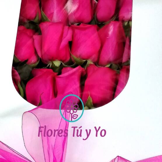 Caja Con 25 Rosas Fucsias